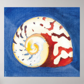 Turbo Sarmaticus Poster