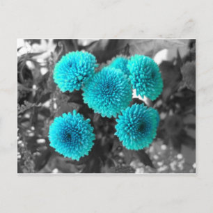 Turcoise Flowers Vykort