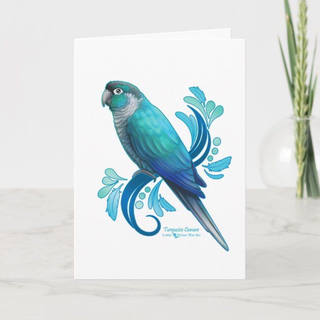 Turcos Conure Kort (Framsida)