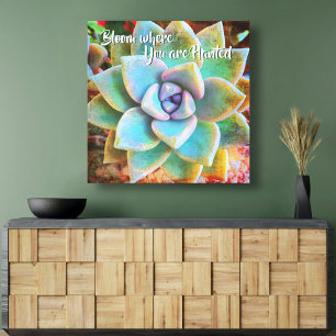 Turcos Grönt Cactus Photo "Bloom where Planted" Canvastryck