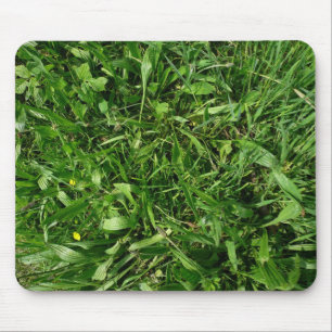 Turf Musmatta