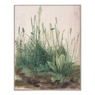 Turfs stora Biet av Albrecht Durer Fototryck