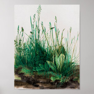 Turfs stora Biet av Albrecht Durer Poster