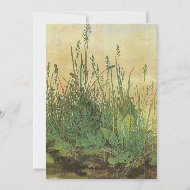 Turfs stora (Underbara) Biet av Albrecht Durer (Framsida)