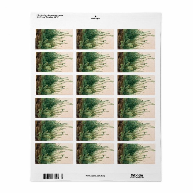 Turfs Underbara Biet, 1503 av Albrecht Durer Adressetikett (Helt Ark)