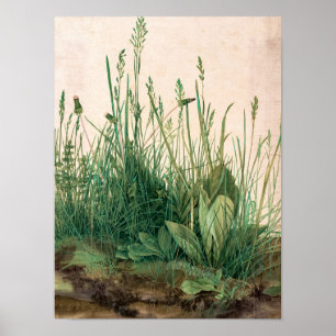 Turfs Underbara Biet, 1503 av Albrecht Durer Poster