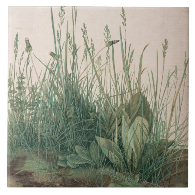 Turfs Underbara Biet (av Albrecht Dürer) Kakelplatta (Framsidan)