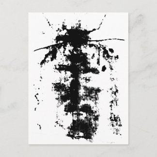 Turin Shroud Vykort