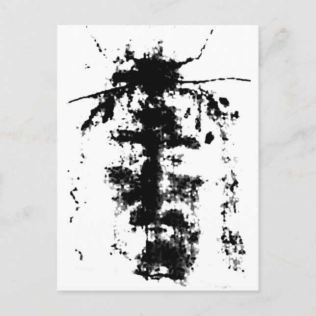 Turin Shroud Vykort (Framsida)