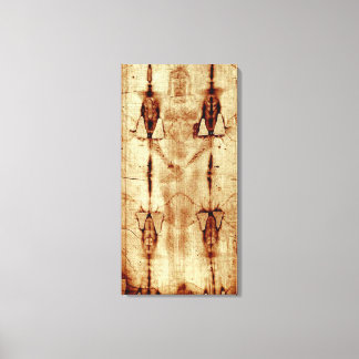 Turins skum stretched Canvas