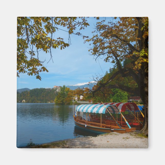 Turistbåtar i Sjö Bled på hösten Magnet (Framsidan)