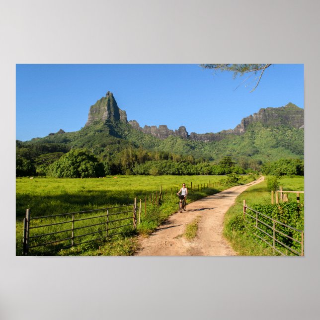 Turistcykling på tropiska morea-poster poster (Framsidan)