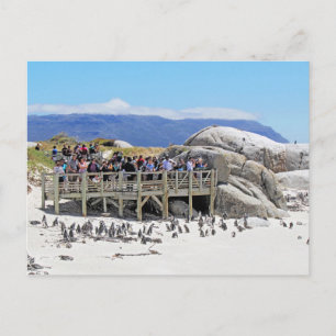 Turister i Boulders Beach tittar på penguiner Vykort