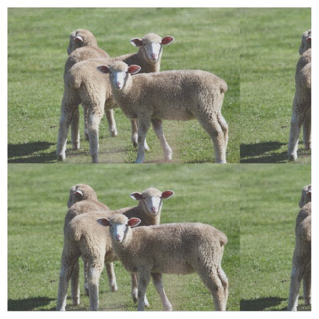 Turister Tyg (Närbild)