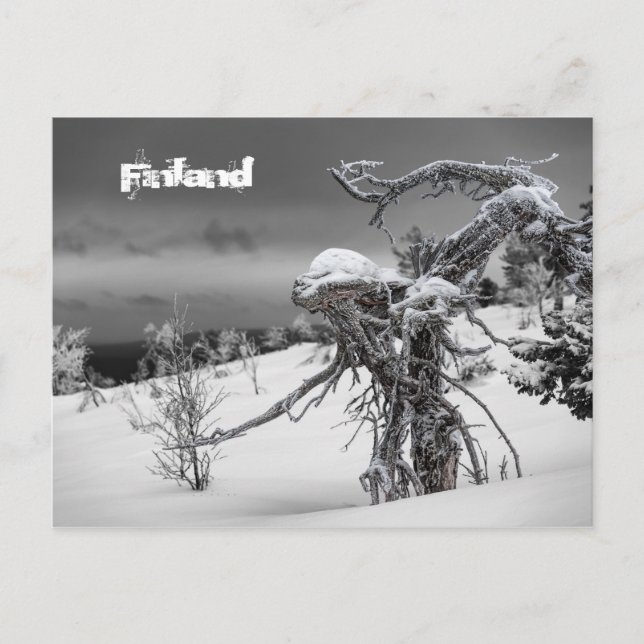 Turistkort Vykort (Framsida)