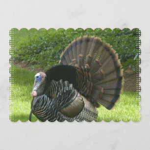 turkey-1.jpg inbjudningar