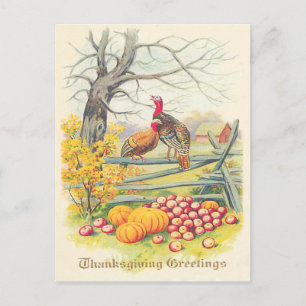 Turkey Farm Pumpkin Apples Träd Höst löv Vykort