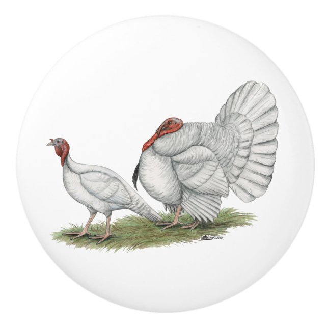 Turkey White Holland Knopp (Framsidan)