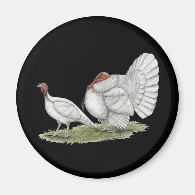 Turkey White Hollands Magnet (Framsidan)