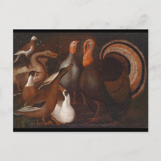 Turkiet Ankor Pigeon Thanksgiving Postcard Helg Vykort (Framsida)