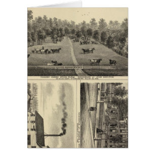 Turkiet Bäck Farm, Nebraska Hälsningskort