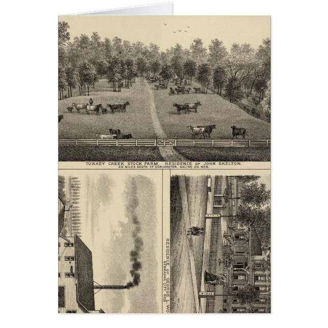 Turkiet Bäck Farm, Nebraska Hälsningskort (Framsidan)