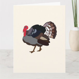 Turkiet Bird Turkey Kort