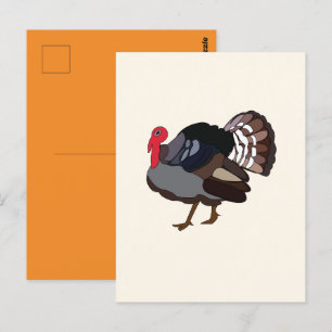 Turkiet Bird Turkey Vykort