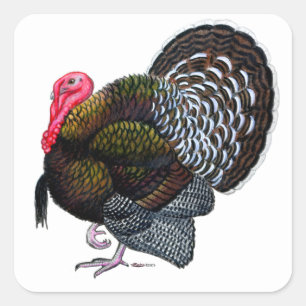 Turkiet: Bronze Tom Fyrkantigt Klistermärke