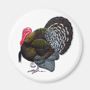 Turkiet:  Bronze Tom Magnet