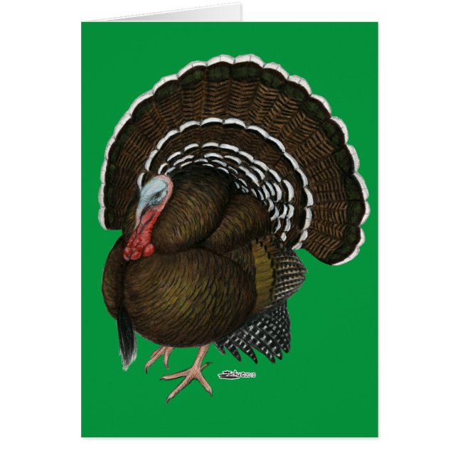 Turkiet Bronze Tom OBS Kort (Framsidan)