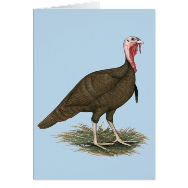 Turkiet Chocolate Tom OBS Kort (Framsidan)