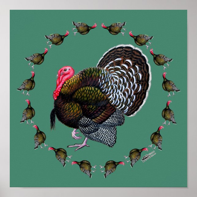 Turkiet Circle Poster (Framsidan)