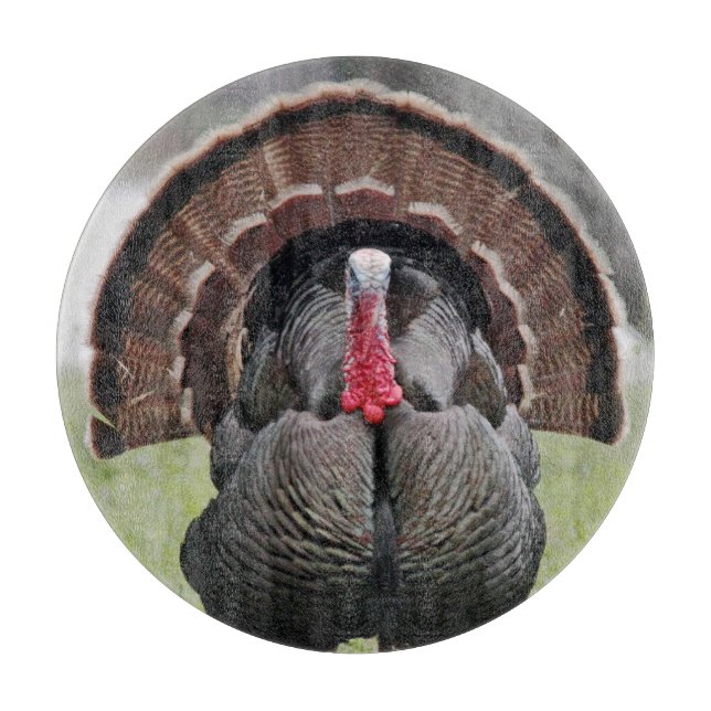 Turkiet exponeringsglasskärbräda (Framsidan)