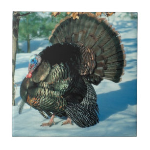 Turkiet går i julvinter i Thanksgivingen Snö Kakelplatta