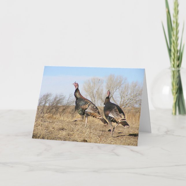 Turkiet horisont kort (Framsida)