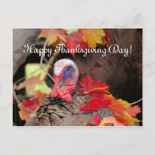 Turkiet i Thanksgivingen Löv Helg Vykort