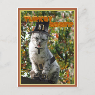 TURKIET IGEN? Pilgrim Cat Vykort