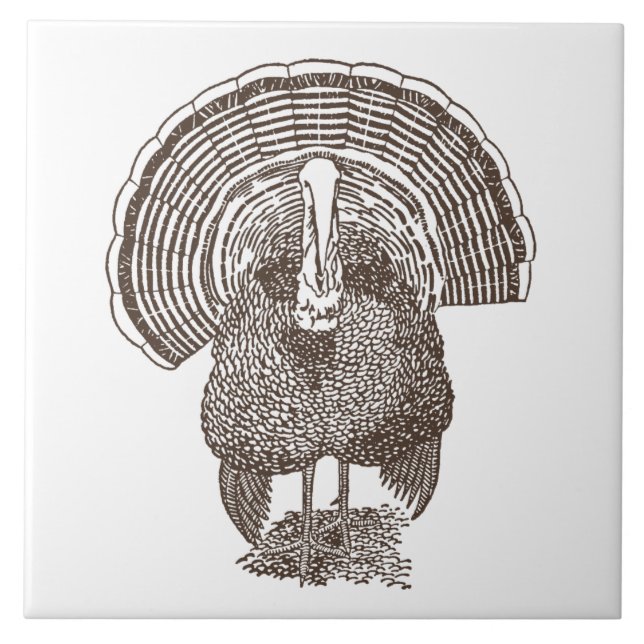 Turkiet Kakelplatta (Framsidan)