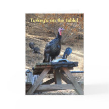 Turkiet på Thanksgivingen Bord