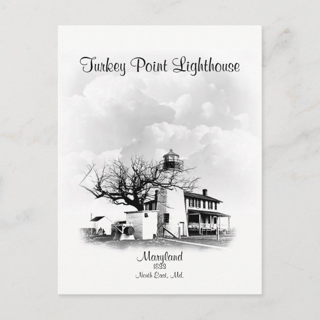 Turkiet Point Lighthouse - Maryland Vykort (Framsida)