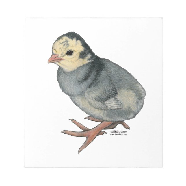 Turkiet Poult Blue Slate Anteckningsblock (Framsida)