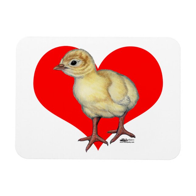 Turkiet Poult Heart Magnet (Horisontell)