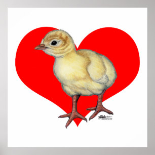 Turkiet Poult Heart Poster