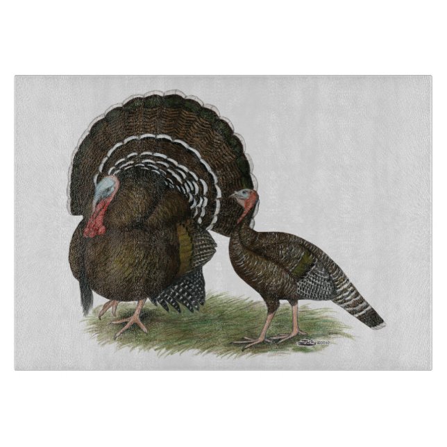 Turkiet Standard Bronze (Framsidan)