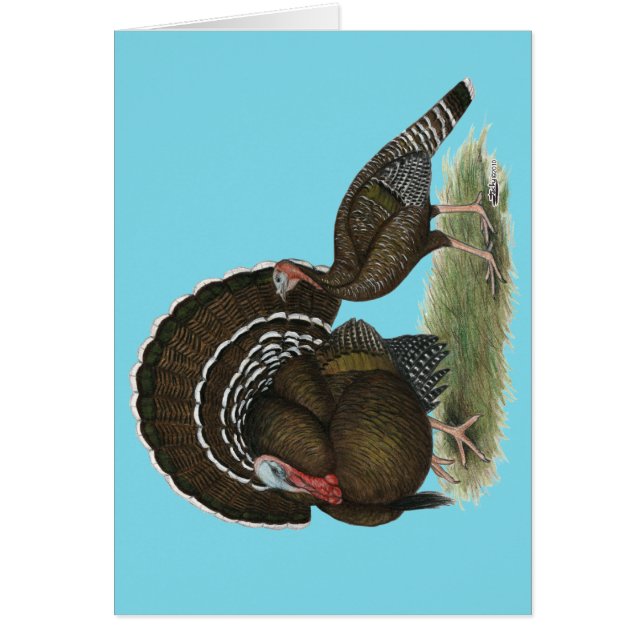 Turkiet Standard Bronze OBS Kort (Framsidan)