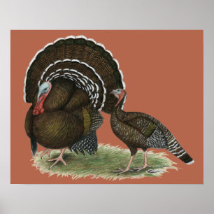 Turkiet Standard Bronze Poster