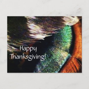 Turkiet Svan Feathers Art Photo Happy thanksgiving Helg Vykort