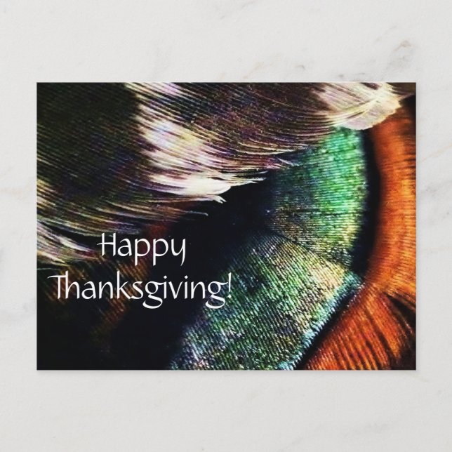 Turkiet Svan Feathers Art Photo Happy thanksgiving Helg Vykort (Framsida)