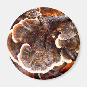 Turkiet Svan Mushroom Magnet